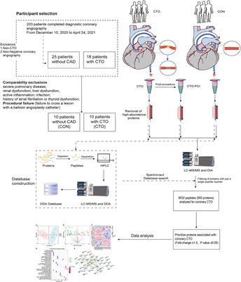 Frontiers | Data-independent acquisition proteomics reveals 